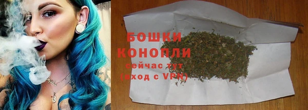 гидра Касимов