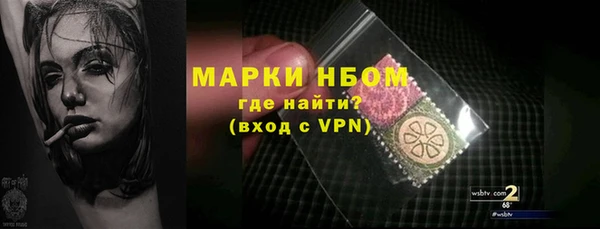 гидра Касимов