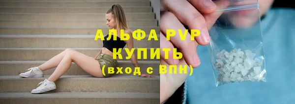 дурь Карпинск