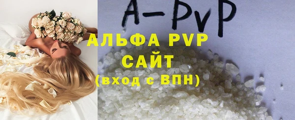 гидра Касимов